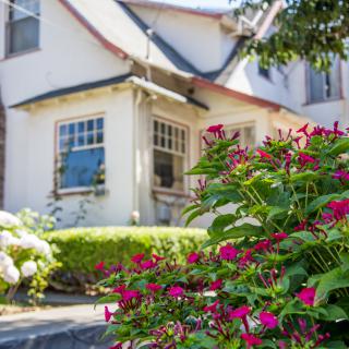 A charming house with a colorful garden in the foreground.