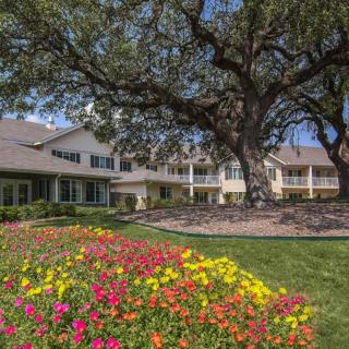 A beautiful garden setting with colorful flowers and a large tree in front of a charming building.