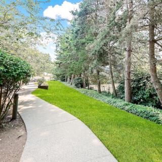 A serene pathway surrounded by lush greenery and tall trees.