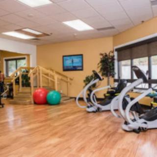 A modern fitness center featuring treadmills and exercise balls.