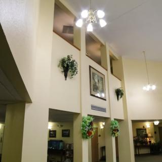 A well-lit interior space featuring decorative plants and framed artwork on the walls.
