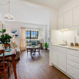 A bright and modern apartment featuring an open-plan kitchen and living area with wooden flooring.