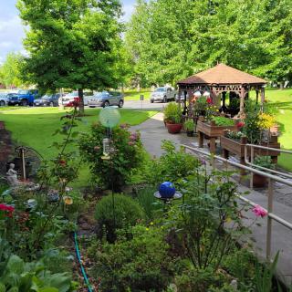 A lush garden with a variety of plants, featuring a cozy gazebo and a scenic pathway surrounded by vibrant greenery.
