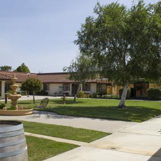 A tranquil courtyard featuring a fountain, surrounded by trees and a well-maintained lawn.