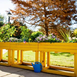 A vibrant yellow planter filled with colorful flowers, accompanied by a blue watering can in a sunny garden setting.