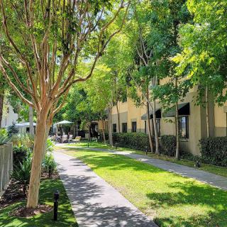 A sunlit pathway lined with trees and greenery alongside a building.