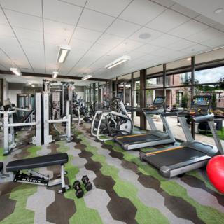 A modern gym with various exercise equipment including treadmills, weights, and machines.