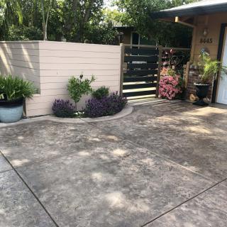 A clean concrete driveway with potted plants and a wooden fence, leading to the entrance of a house.