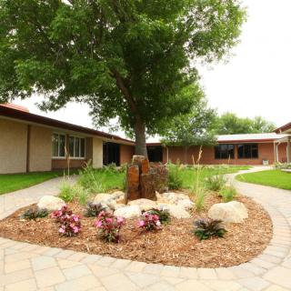 A landscaped courtyard featuring a central tree, surrounded by garden beds and a paved pathway.