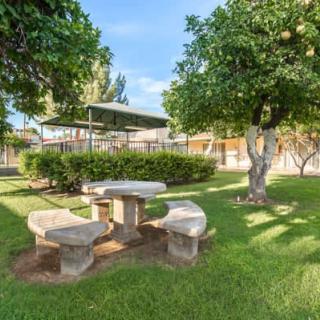 A peaceful park setting with a stone picnic table surrounded by lush green grass and trees.