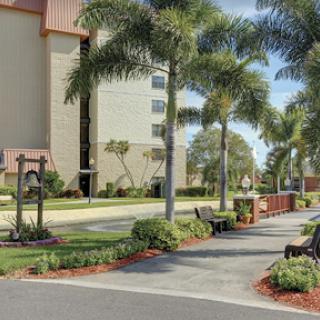 A scenic outdoor area featuring palm trees, benches, and a well-maintained pathway beside a modern building.