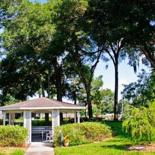 A serene park scene featuring a charming gazebo surrounded by lush greenery and tall trees.