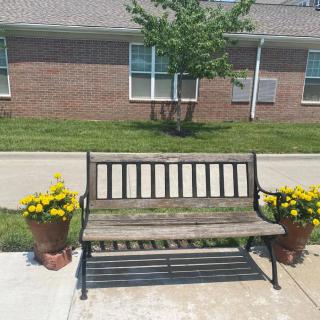 A wooden bench flanked by potted yellow flowers on a sunny day, set against a brick building.