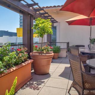 A sunny rooftop terrace with potted plants and outdoor seating.