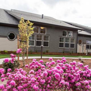 A modern house with a landscaped garden featuring vibrant pink flowers.