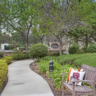 A tranquil park scene with a winding pathway, surrounded by lush greenery and a wooden bench adorned with a colorful cushion.
