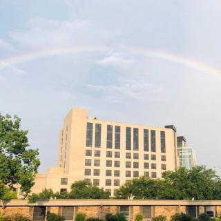 A rainbow arcs over a city building against a clear sky.