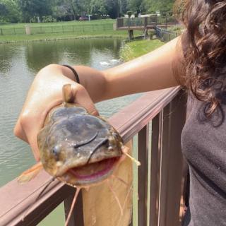A person proudly displaying their catch of the day by the lake.