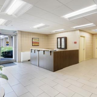 A modern reception area with a welcoming atmosphere.