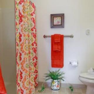A bathroom featuring a colorful shower curtain and towels with an orange theme, accented by a small plant.