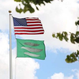 The American flag and a green flag with white design flutter in the sky.