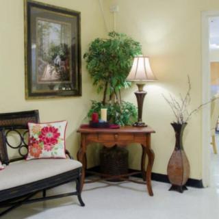 A cozy living room corner featuring a bench with decorative pillows, a wooden table with a lamp, and lush green plants.