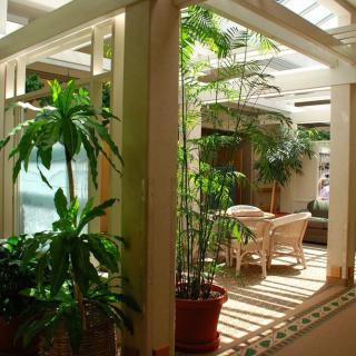 A serene indoor sunroom filled with lush potted plants and natural light.