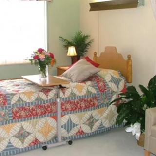 A cozy bedroom scene with a quilt-covered bed, flowers, and decorative plants.