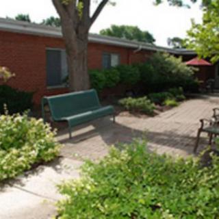 A peaceful outdoor garden area with a bench and lush greenery.
