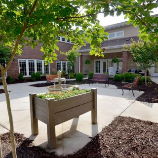 A peaceful courtyard garden with a raised planter, surrounded by trees and seating areas.