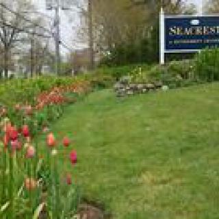 A landscaped garden with blooming flowers and a sign in the background.