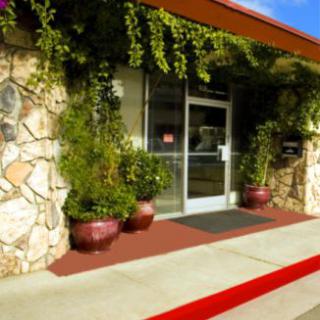 The entrance of a restaurant adorned with potted plants and stone walls.