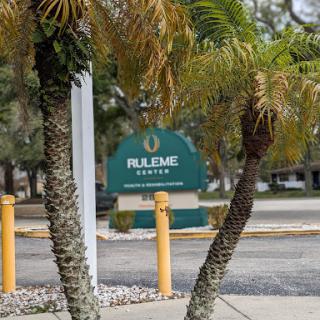 A view of a green sign partially obscured by palm trees in an outdoor setting.