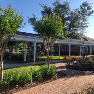 A beautifully landscaped garden with a brick pathway under a clear blue sky.