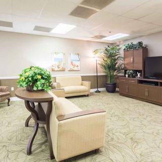 A well-lit waiting room with comfortable seating and decorative elements.