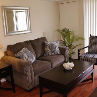 Cozy living room with a sofa, coffee table, and decorative accents.