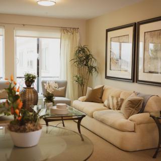 A cozy and elegantly decorated living room with a comfortable sofa, glass coffee table, indoor plants, and large framed artwork on the walls.