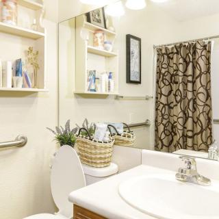 A well-organized bathroom with a decorative shower curtain and neatly arranged shelves.