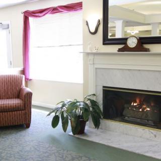 Cozy living room with a lit fireplace, armchair, and decorative plant.