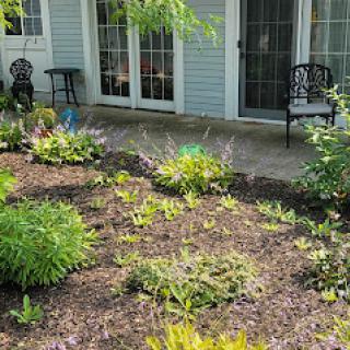 A serene garden space with a well-maintained landscape and patio furniture.