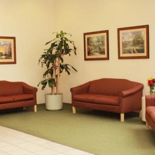 A waiting room with brown sofas, paintings on the wall, and an indoor plant.
