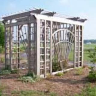A wooden pergola with lattice design stands in a garden setting.