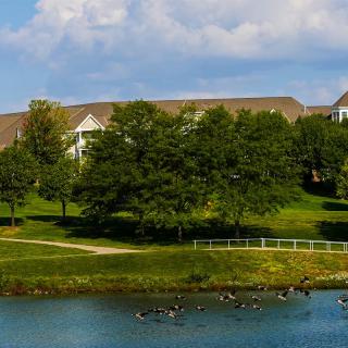A serene park scene with a lake, ducks, lush trees, and buildings in the background under a partially cloudy sky.