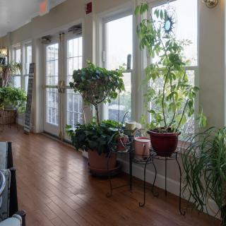 A serene sunroom filled with various potted plants basking in natural light through large windows.