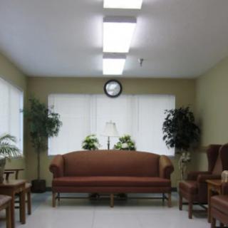 A waiting room with a sofa, chairs, indoor plants, and a wall clock.
