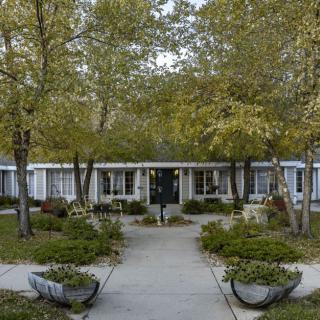 A beautiful courtyard surrounded by trees with a central pathway leading to a building.