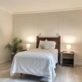 A minimalist bedroom with a single bed, flanked by two nightstands and lamps, and a potted plant in the corner.