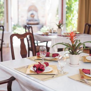 An elegant dining room with a beautifully set table, featuring red napkins and a potted plant centerpiece, illuminated by natural light.