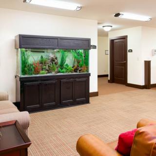 A cozy waiting room featuring a large aquarium and comfortable seating.