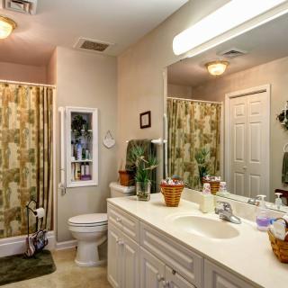 A cozy bathroom featuring a double sink with a large mirror, decorative plants, and a floral shower curtain.